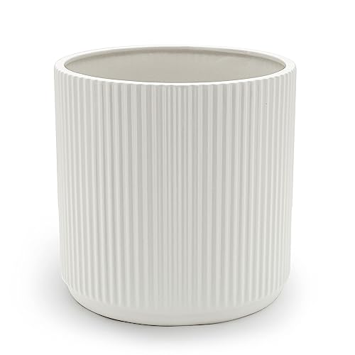 Amazon Basics Fluted Ceramic Round Planter, 8-Inch, White