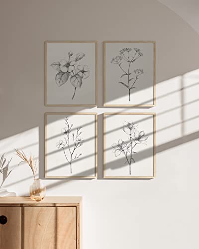 Haus and Hues Vintage Botanical Prints - Set of 4 Rustic Wall Art for Bedroom, Bathroom, Living Room (8x10, Beige Framed)